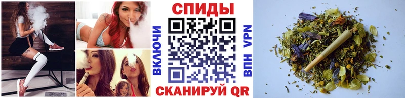 OMG ссылки  Зуевка  Бутират буратино 