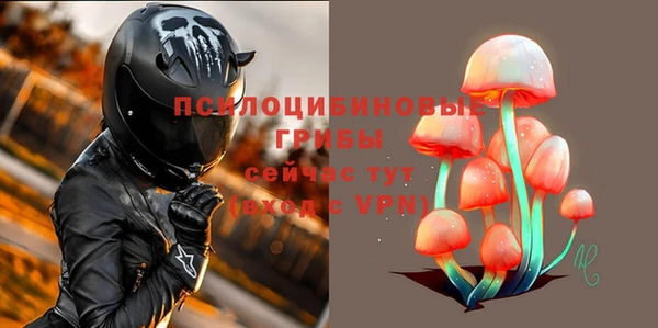 прущие грибы Наволоки